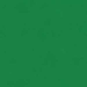 Epozy Floor Green